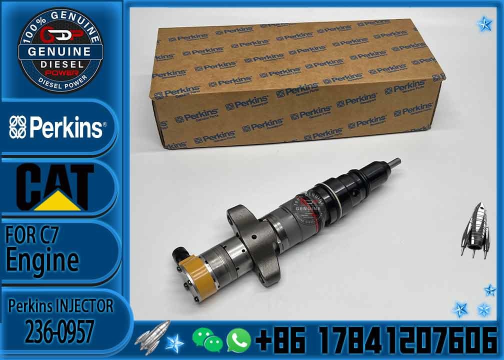 Diesel Engine Parts Common Rail Fuel Injector 235-5261 for CAT C9 330D 340D 336D Excavator CNDIP Factory price
