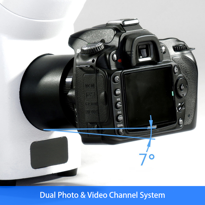 Inverted Fluorescence Led Digital Microscope