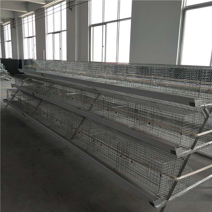 Manual Feeding System 45 Days Chicken Cage , 3 Tiers Chick Rearing Cage