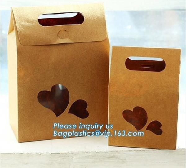 china custom design luxury shopping gift paper carrier bag template,Luxury Kraft