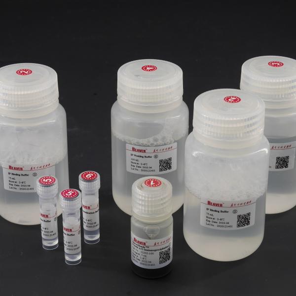 Buy cheap 10 mg / mL Protein A Magnetic Beads For Immunoprecipitation 100 Reactions from wholesalers