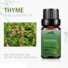 Buy cheap Antibacterial Cosmetic Essential Oils 5ml 100% Pure Thyme Oil Leaf COA ODM from wholesalers