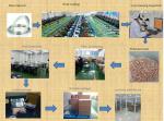 Self-Piercing Riveting Machine