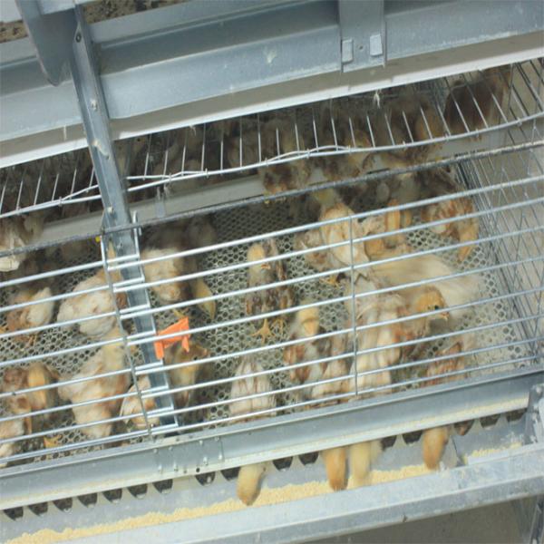 Buy cheap 260 Birds Hunsbandry 6 Tiers ZnAl Poultry Cage For Broiler from wholesalers