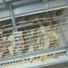 Buy cheap 260 Birds Hunsbandry 6 Tiers ZnAl Poultry Cage For Broiler from wholesalers