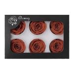 2020 New Preserved Rose 5-6cm Real Rose That Last A Year For Valentines Day