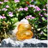 Buy cheap Hanging Outdoor Gourd Fly Fruit Wasp Flying Insect Trap Killer Catcher Pest Control from wholesalers