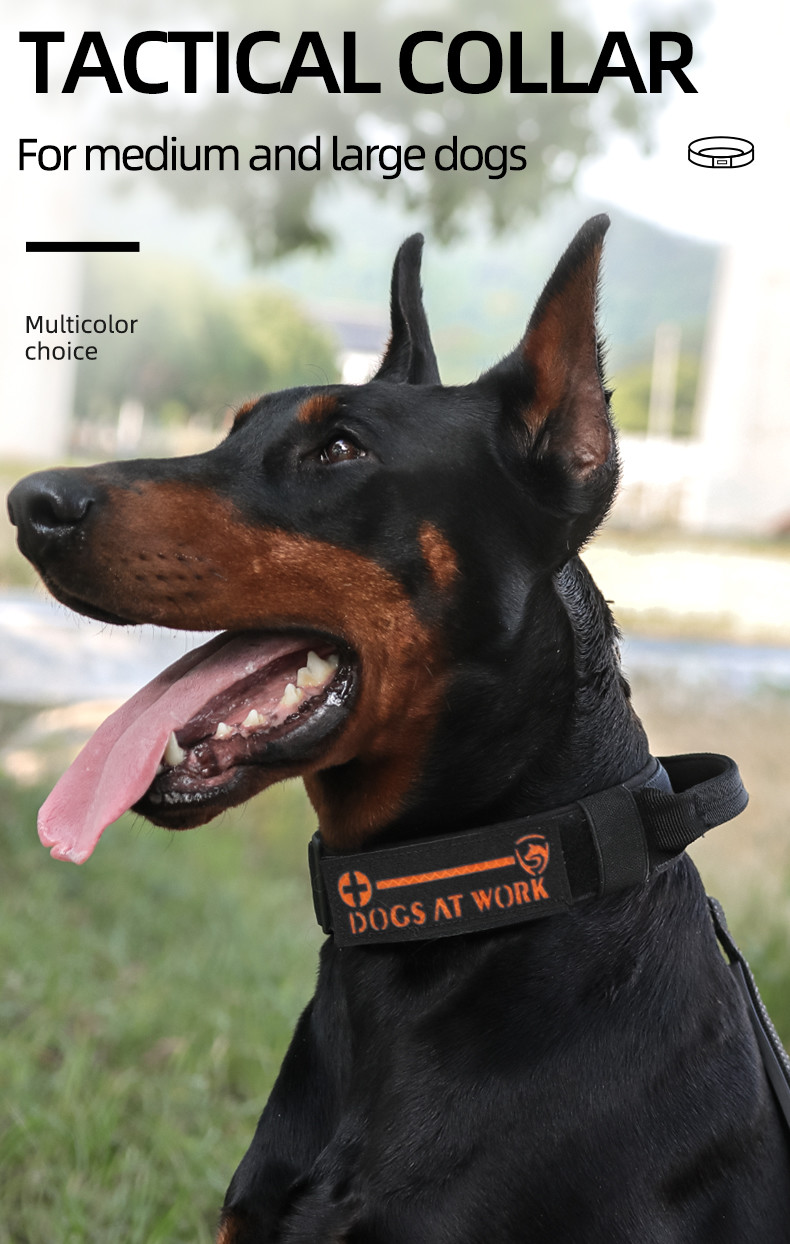 Outdoors Pet Training Medium And Big Dog Tactical Collar Adjustable 38 - 48cm