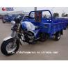 Buy cheap Climbing Petrol 2t 300cc Three Wheel Bike Motorcycle from wholesalers