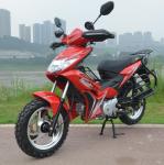 110cc 125cc Super Cub Bike Gasoline 50cc Motorcycle For Adults With ZS Engine