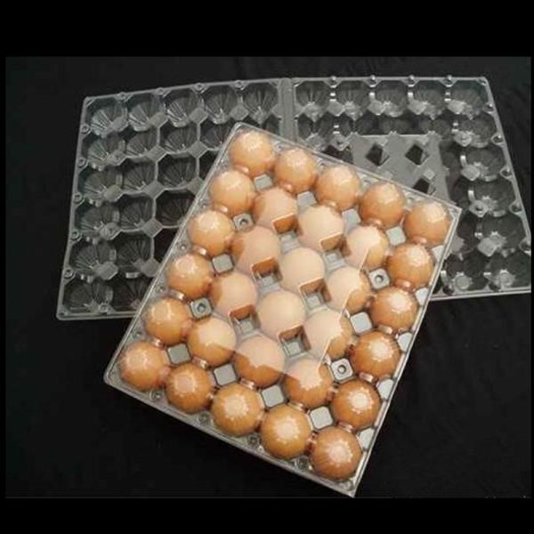 Buy cheap Folding 0.4mm 30 Cells Plastic Blister Packaging Non Toxic Polymer Egg Holder Tray from wholesalers