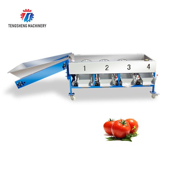 280KG Lemon screening and grading machine special stainless steel roller fruit