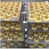 Buy cheap OEM HONGXIN 760*1220mm Pineapple Tarts Machine from wholesalers