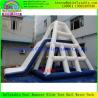 Buy cheap 2015 Best Selling Fashionable Commercial Adults And Children Inflatable Slides from wholesalers