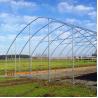 Buy cheap Single-span Arch Polyethylene Film Pumpkin 6m High Tunnel Plastic Greenhouse For Plants Growing from wholesalers