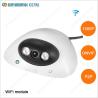 Buy cheap Indoor Dome P2P WIFI Best Wireless Security Camera from wholesalers