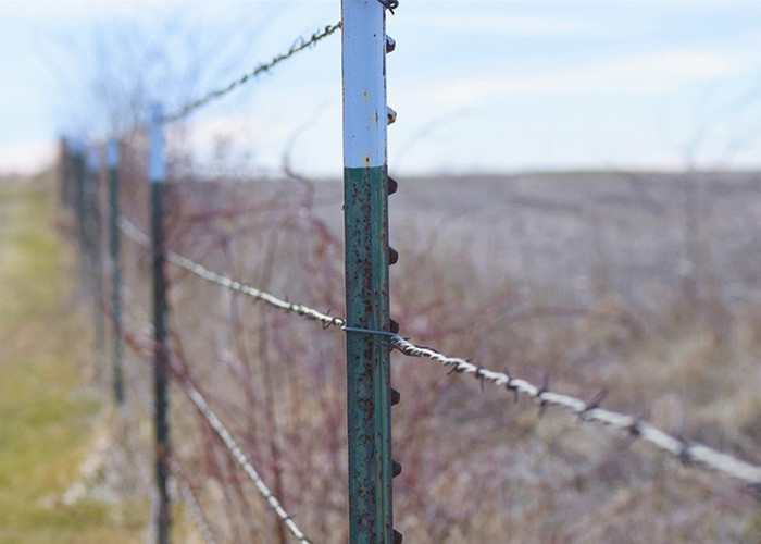Garden Anti-Theft Double Twisted PVC Coated /Galvanized Barbed Wire Coils