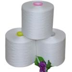 Raw White 60s/2, 80s/2 100% Polyester Core Spun Yarn For Garments Fashionable