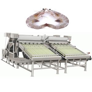China 1Ton-5Ton Fish / Shrimp Grading Machine Shrimp/Fish Sorting MachineHigh Sorting Accuracy Shrimp Washing Machine on sale