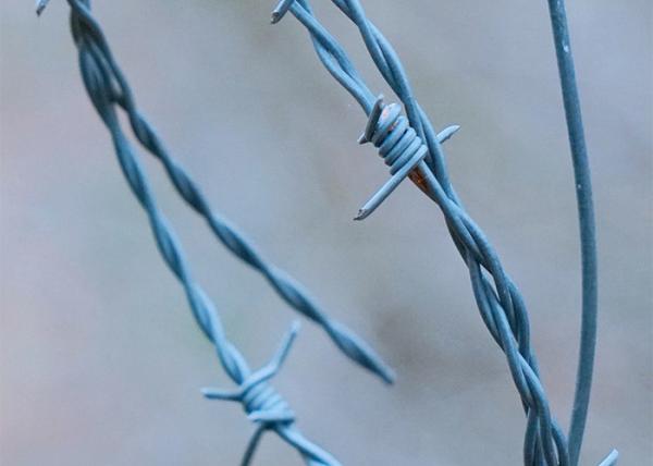 Rust Resistance 3or 4inch Barb Distance Single Strand PVC Coated Iron Barbed