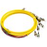 Buy cheap FC UPC OFNR Fiber Optic Pigtail SM 12C Colored Single Mode LSZH from wholesalers