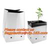 Buy cheap vegetables, fruits, seeds, bedding plants, tomatoes, peppers, cucumbers, tree starters from wholesalers