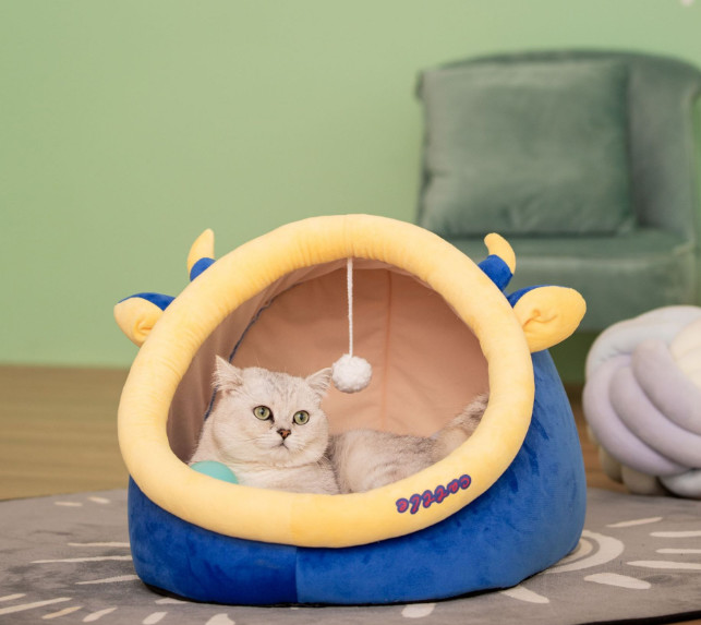 the best cat bed