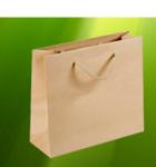 China Manufactures Wholesale Luxury boutique Clothing paper carrier bags with