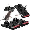 Buy cheap ABS Mouse Snap Rat Trap Killer For Applicable Area 20 Square Meters Time Used 480 Hours from wholesalers