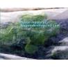 Buy cheap high quality PP nonwoven fabric agriculture Cover Non Woven Fabric agriculture fabric plant cover fruit bags, bagease from wholesalers