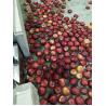 Buy cheap Food Standard SUS 304 Apple Processing Line Cold Press Fruit Juice Processing Line from wholesalers