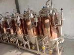 100 200 300L SS304 SS316L Home Micro Beer Brewing Equipment