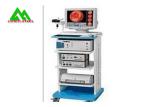 Endoscopic Sinus Surgery Endoscope / Waterproof Camera Video Endoscopy