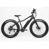 Buy cheap 26 Inch Electric Assist Fat Bike Disc Brake 48V 500W 30 Speed Alloy Frame from wholesalers