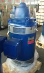 250HP VHS Series Deep Well Turbine Pump Motor , Vertical Shaft Electric Motor