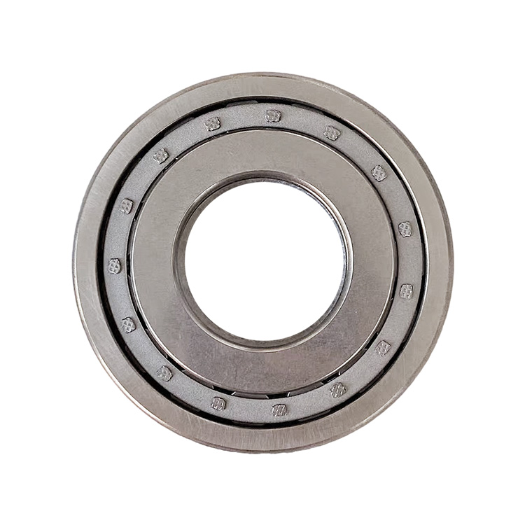 0735.303.694 Omako Bell Cylindrical Roller Bearing NUP209/38EJ1 for FOTON Truck Parts
