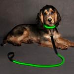 USB Rechargeable Reflective Pet Leash 47 Inches Glowing Dog Accessories