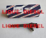 BOSCH Common rail injector 0445110369 0445110368 0445110646 0445110647