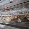 Buy cheap A-type Q235 Steel Cage Designed For Baby Chickens Hot-dip Galvanized Wire Mesh from wholesalers