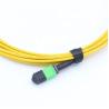 Buy cheap MPO / MTP Connector SM 48 Fiber Optic Patch Cord from wholesalers