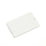 Mini Small USB Card Drives 2GB 4GB 8GB with Free Logo-Printing