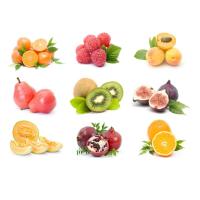 Buy cheap PET Bottle Fresh Fruit Tomato Processing Line 2T/H product