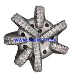 Down Hole Hard Rock API PDC Drill Bit of Oil Well