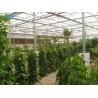 Buy cheap Galvanized Steel Pipe Automatic Venlo Glass Greenhouse For Botanical Garden from wholesalers
