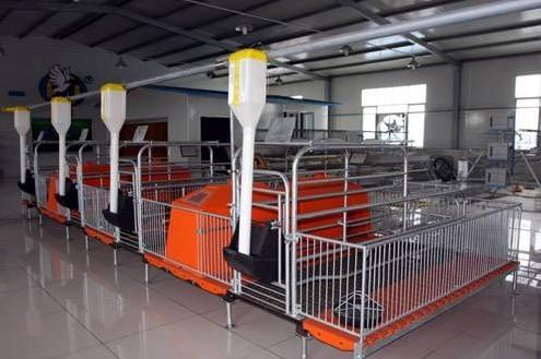 Buy cheap International Brand Of RderCorpPig Equipment from wholesalers