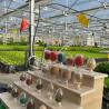 Buy cheap Water Irrigation Greenhouse JX-A00155 for Shipping Cost and Estimated Delivery Time from wholesalers