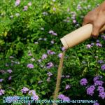 Small Bamboo Scattering Urn Tube for Human Ashes, ECO & Biodegradable Friendly