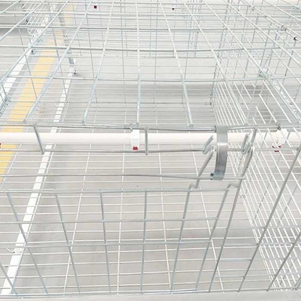 Waterproof 380V Broiler Chicken Cage Hot Galvanized Surface 20 - 25 Years