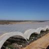 Buy cheap Blueberry PE Film Poly Tunnel Greenhouse Anti Ultraviolet from wholesalers