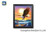 3d Animation 3d Pictures Natural Animation Of Flying Eagle For Indoor / Hotel